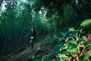 BIB: 
                            <button type="button" onclick="openModal(28124914)" class="btn btn-primary btn-sm float-right btn-popup" data-toggle="modal" data-target=".modal-high-quality">
                        <i class="fas fa-shopping-cart"></i> Add to Cart
                    </button>
                                            <button type="button" onclick="isThisMe(28124914, true)" class="btn btn-success btn-sm float-right btn-popup btn-isme hidden" data-toggle="tooltip" data-placement="bottom" title="นี่คือรูปของคุณใช่ไหม คลิกที่นี่เพื่อเอาเข้าอัลบั้ม">
                        <i class="fas fa-plus"></i> Add to album
                    </button>
                    <button type="button" onclick="isThisMe(28124914, false)" class="btn btn-warning btn-sm float-right btn-popup btn-isnotme hidden">
                        <i class="fas fa-ban"></i> Remove from album
                    </button>